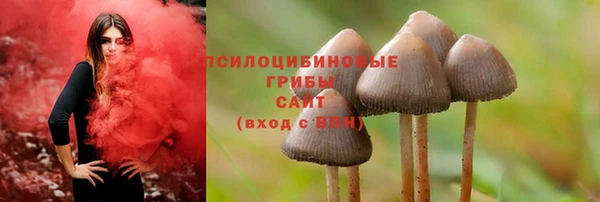 мескалин Баксан