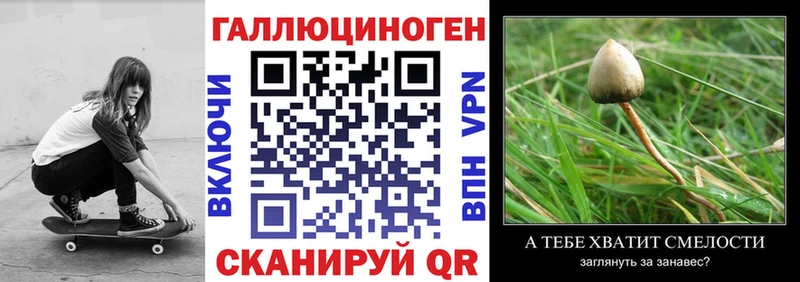 Галлюциногенные грибы прущие грибы  даркнет телеграм  Дивногорск 
