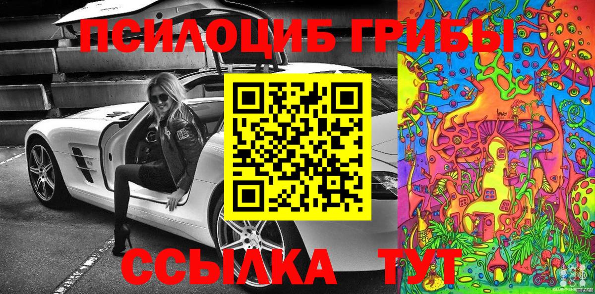 Псилоцибиновые грибы прущие грибы Дивногорск