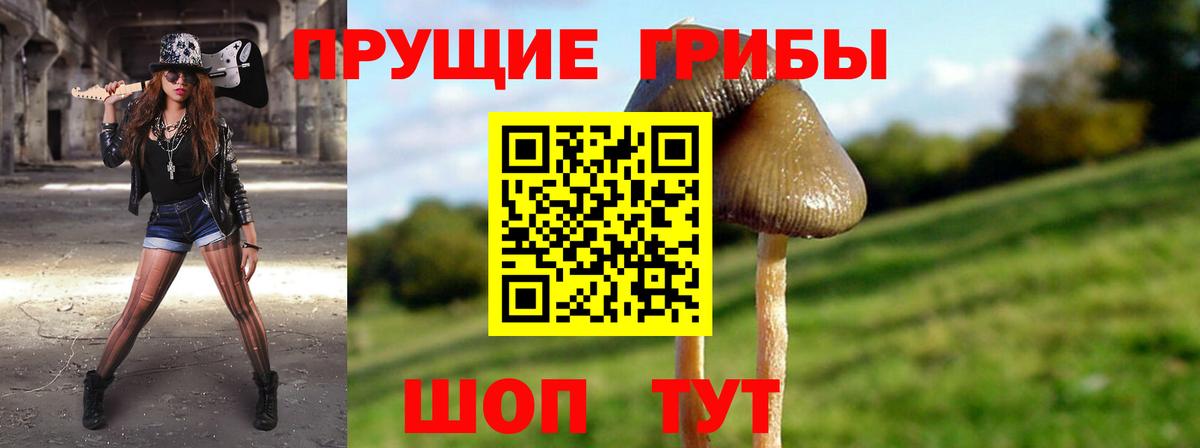 Дивногорск  Псилоцибиновые грибы мицелий  Вход с VPN 