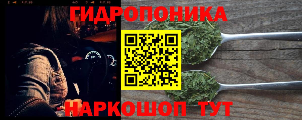 Конопля план  Канабис LSD WEED  Дивногорск 